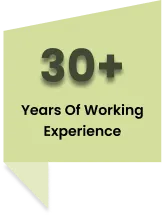 30 + years of working Experience